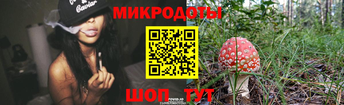 Галлюциногенные грибы прущие грибы Тольятти